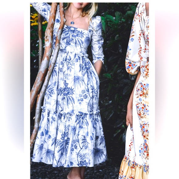 Cara Cara Dresses & Skirts - Cara Cara blue hill midi dress in jacobean navy size 4 NWT
